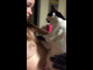 cat gives jenna j ross breast massage big ass milf