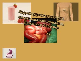 pancreas: symptoms of the disease, signs of the disease