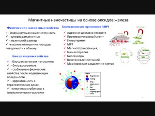 yulia podkovyrina - nanotechnologies against cancer