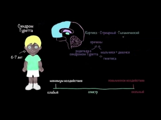 what is tourette syndrome. khan academy