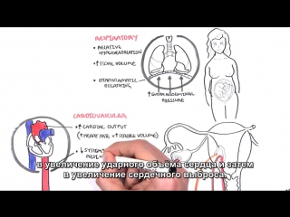 physiological changes during pregnancy