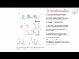 1 1 lecture - medical biophysics  molecules and diseases (msu)