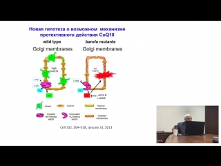 molecular mechanisms of idebenone (noben) in the treatment of headaches (medvedev o s.