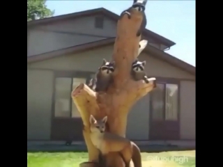 chainsaw carving on wood